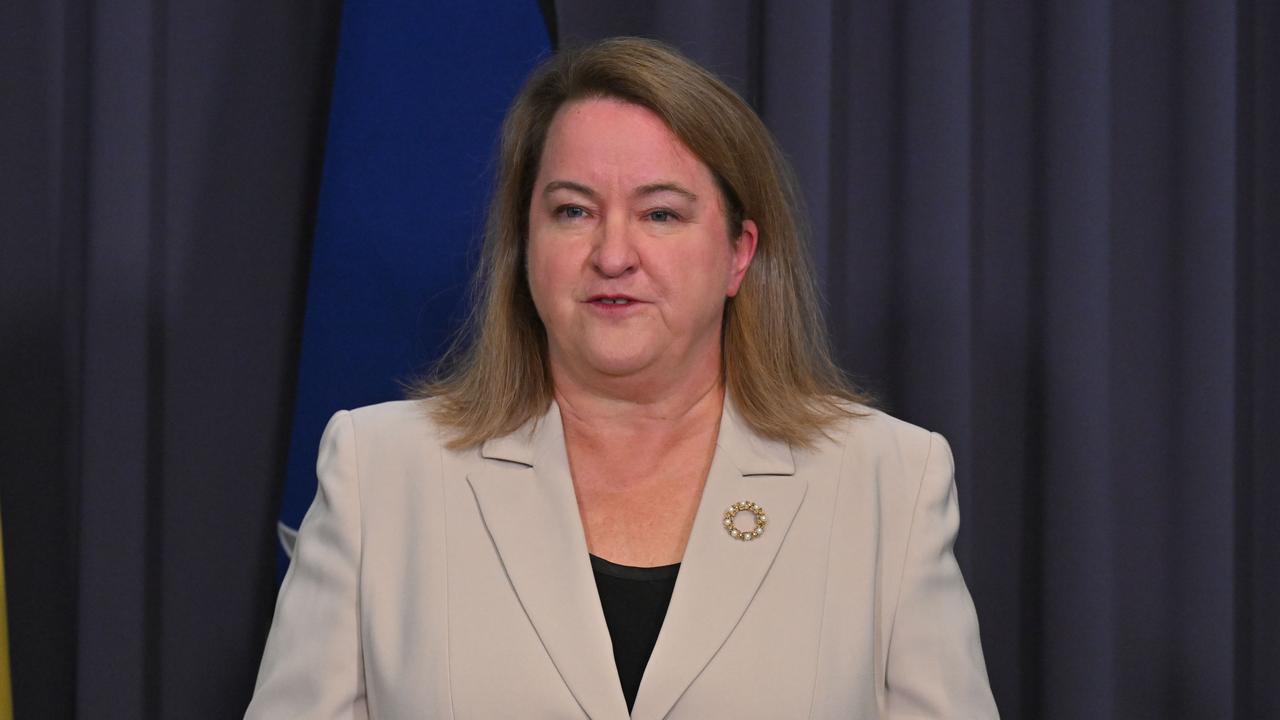 Workplace Gender Equality Agency CEO Mary Wooldridge (file image)