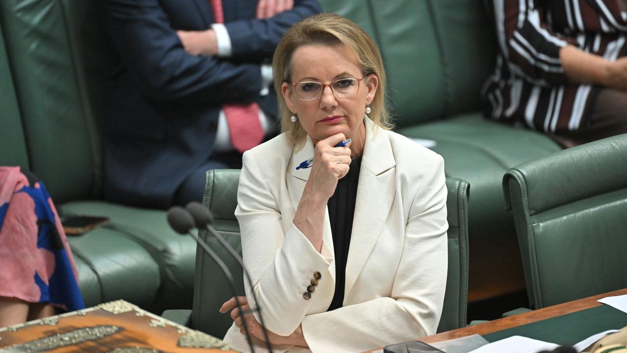 Opposition Leader Sussan Ley (file image)