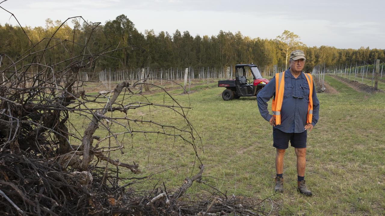 Vineyard owner, Ian Napier