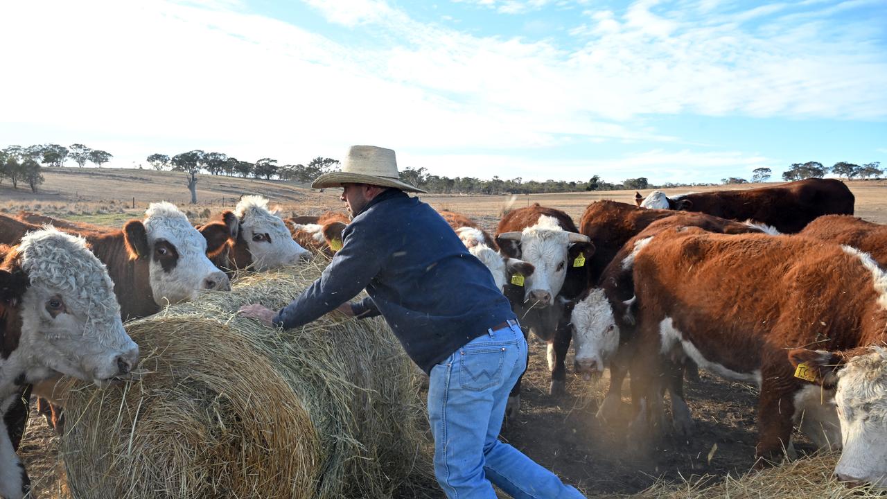 Farmer Paul Manwaring